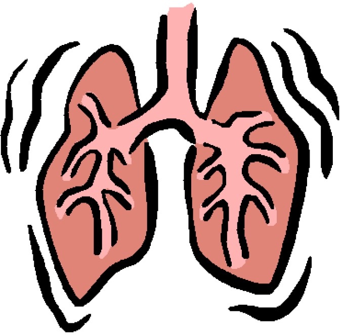 http://ips-static.videopublishing.com/kyproscom/lungs-1-profile.jpg